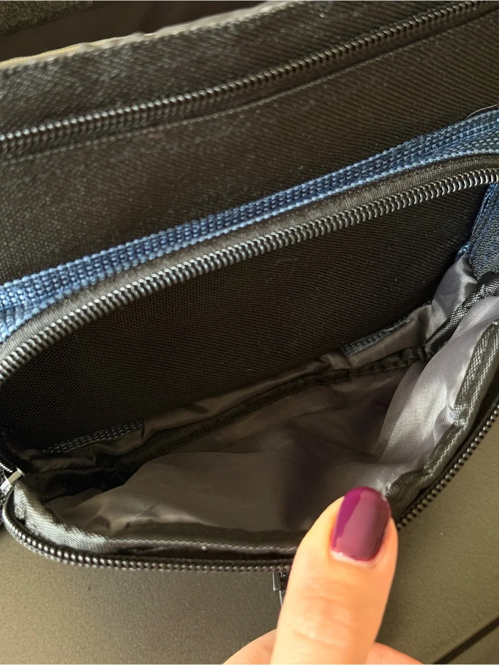 Samsonite Black and Blue Compact Camera Case